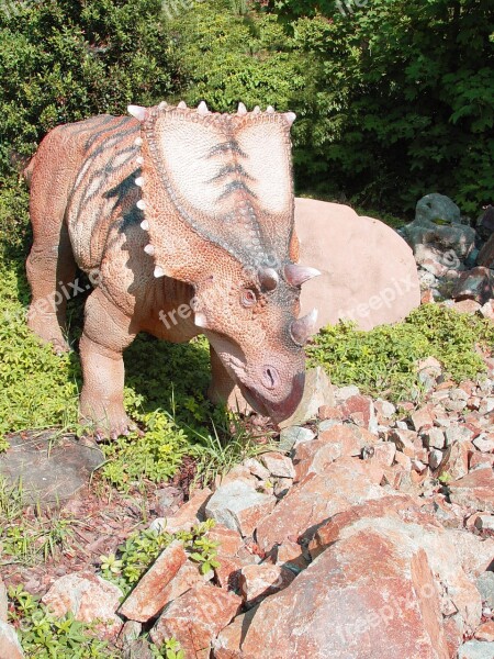 Triceratops Dino Dinosaur Free Photos