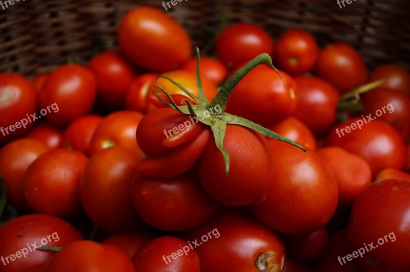 Tomatoes Red Special Form Crop