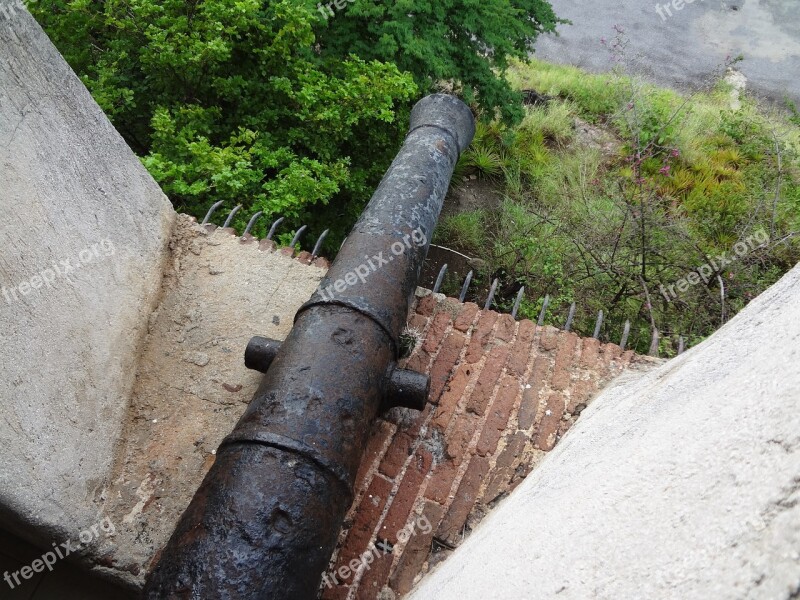 Cannon Cactus Curacao Free Photos