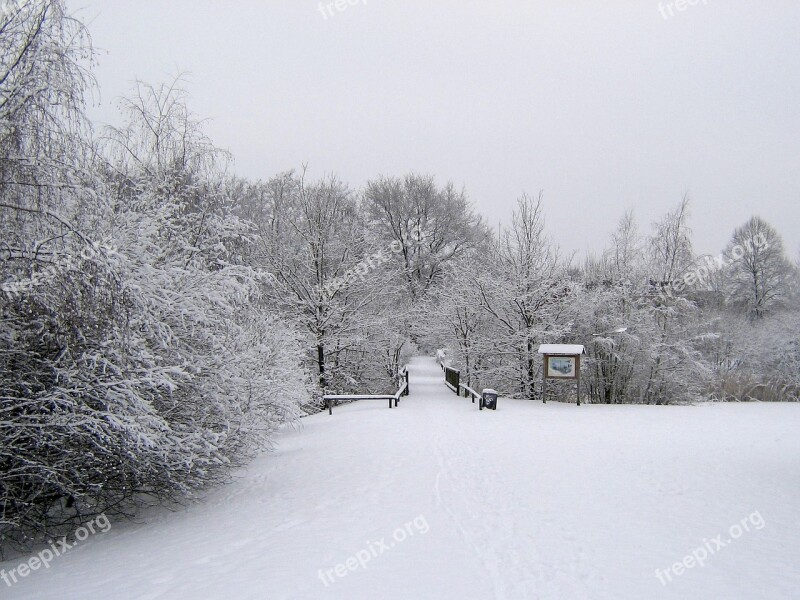 Winter Snow Wintry Cold Landscape