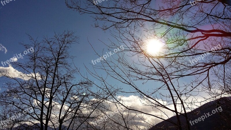 Sun Trees Ray Sky Clouds