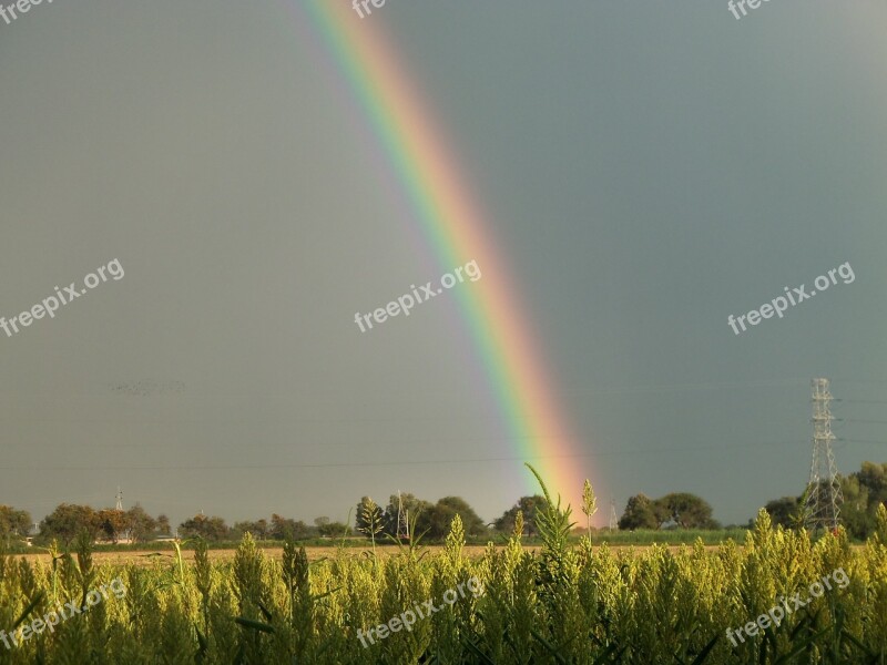 Field Cloudy Rainbow Trees Plants