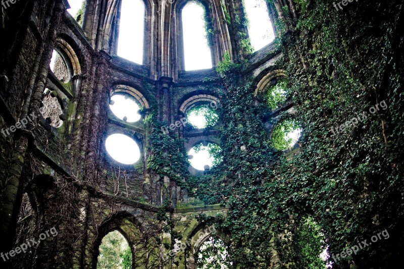 Ruin Cathedral Monk Romantic Architecture