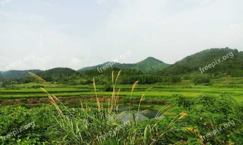 The Scenery Green Natural Mountain Meadows