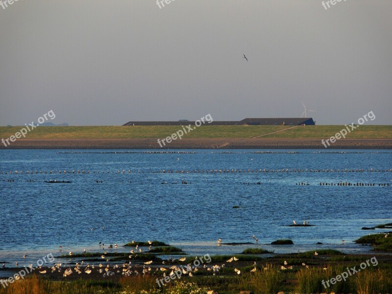 Dike North Sea Background House Sea