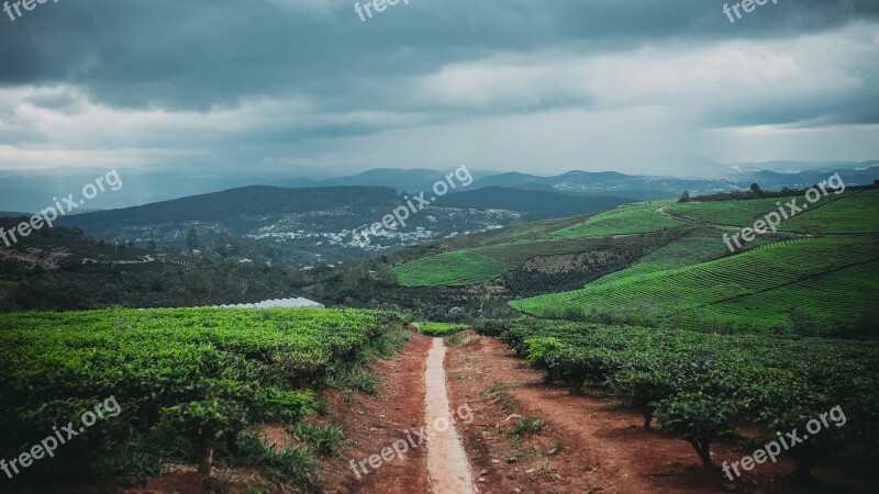 Dirt Road Mountain Valley Mountain Road Rural