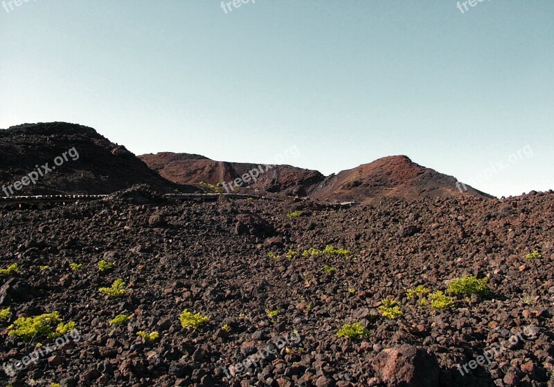 Tenerife Canary Islands Mountain Nature Spain