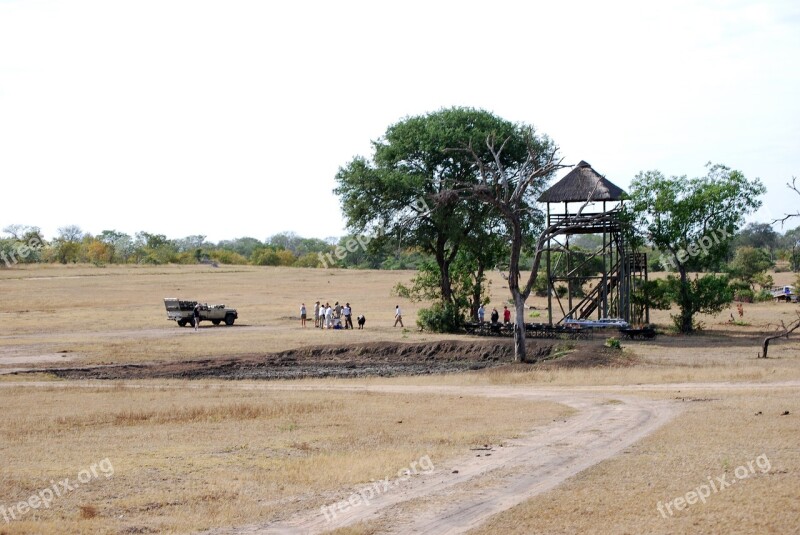 Safari Bush Breakfast Africa Free Photos