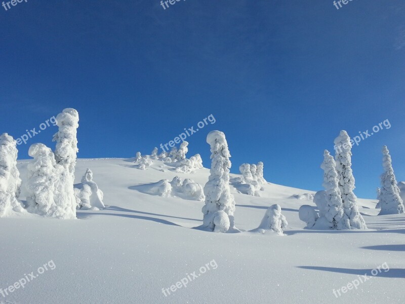 Winter Snow Trees Norway Kvitfjell