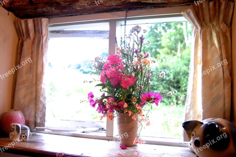 Flowers Vase Window Stable Blossom