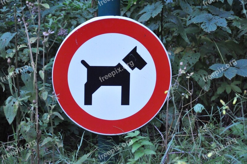 Signboard Public Sign Sign Dog Dog Prohibition Sign