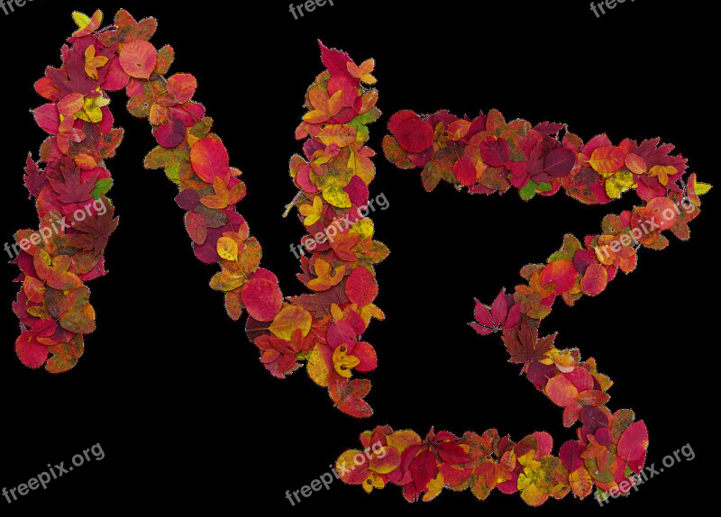 Letters Fall Cutout Isolated Form Leaves