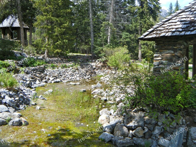 Alpine Rockery Garden Nature Grass