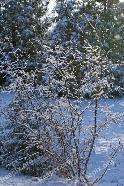 Frost Winter Ice Cold Weather Fence