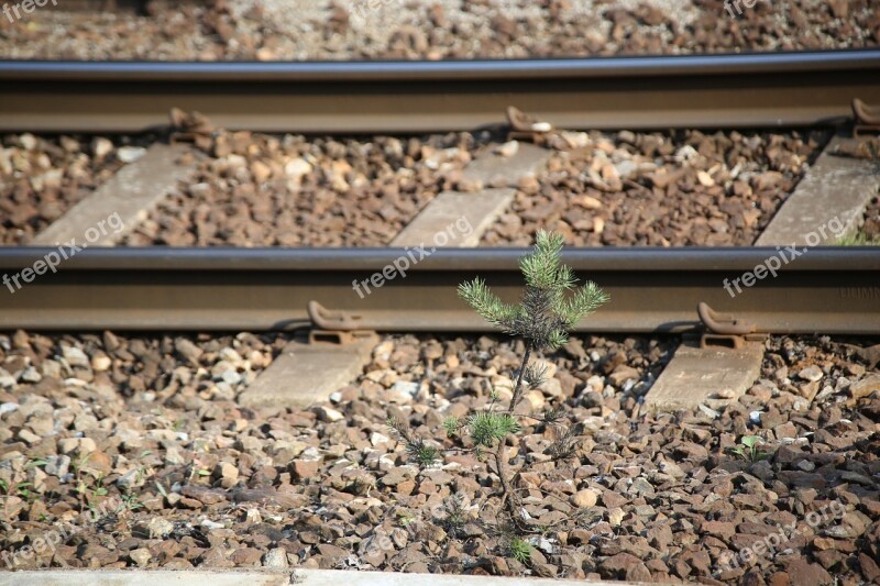 Train Rail Railway Train Tracks Traveling