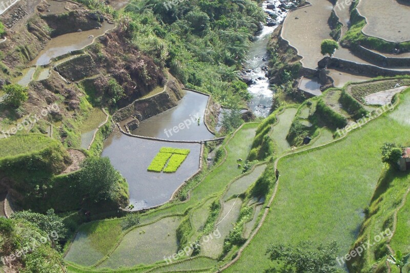 Terraces Rice Cultivation Rice Fields Cultivation Philippines