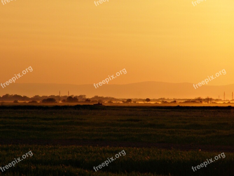 Nature Sunset Field Sky Grass