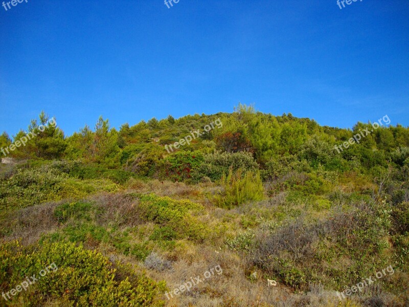 Nature Sky Blue Sky Sunny Air