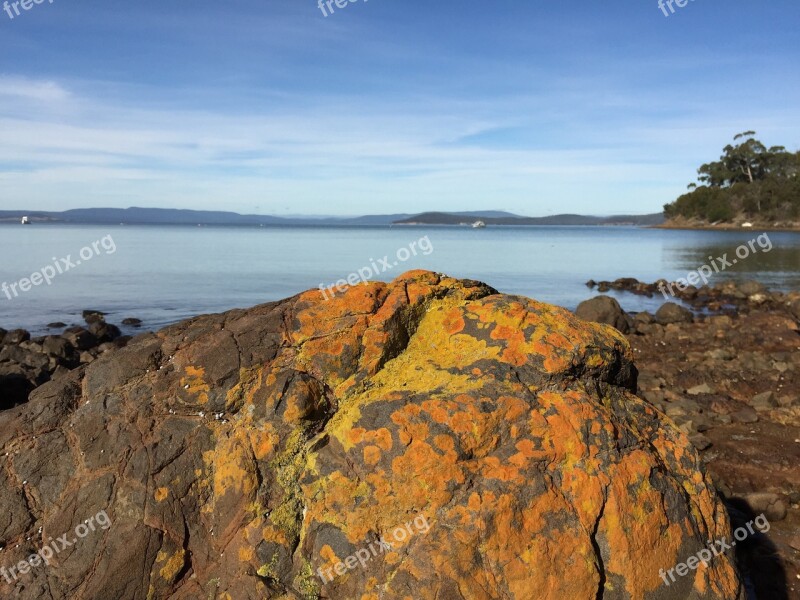 Rock Sea Sky Tree View