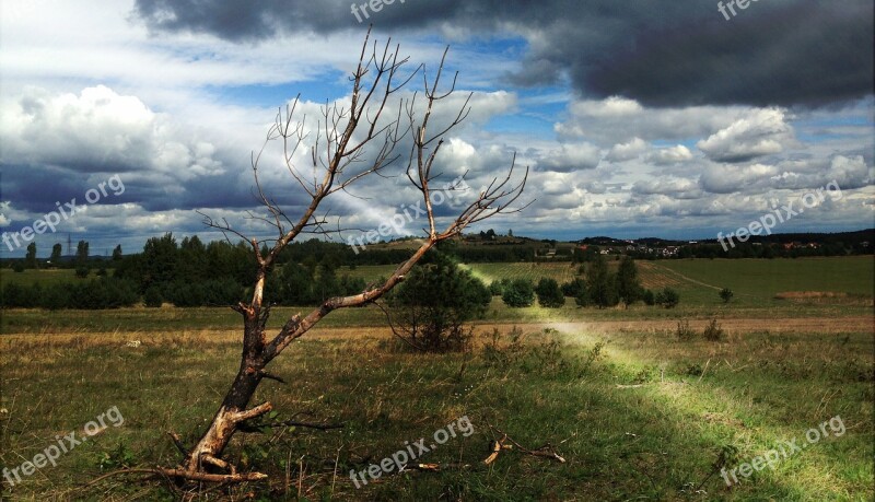 Olkusz Poland Landscape Clouds Tree