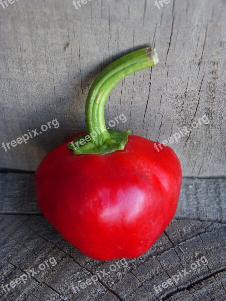 Nora Pepper Red Vegetable Red Pepper