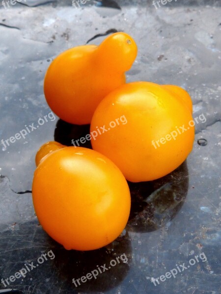 Cherry Tomatoes Pear Yellow Vegetables Free Photos