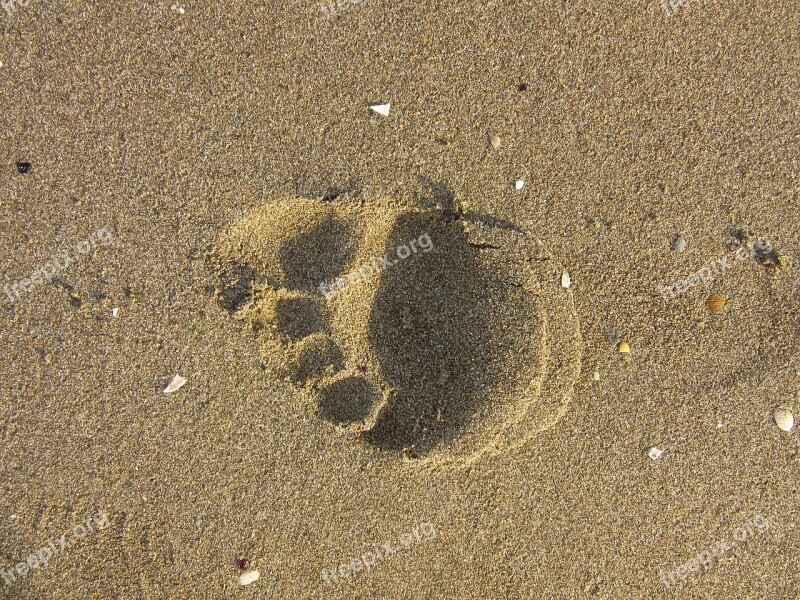 Footprint Sand Run Trace Beach