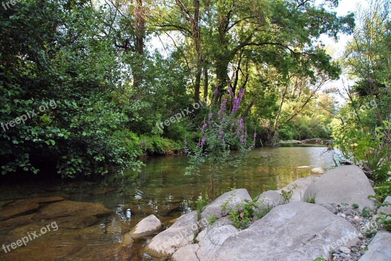 River Forest Landscape Mountain Trees