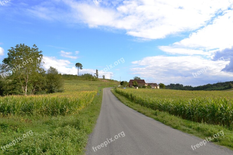 Road Path Corn Field Fields Agriculture