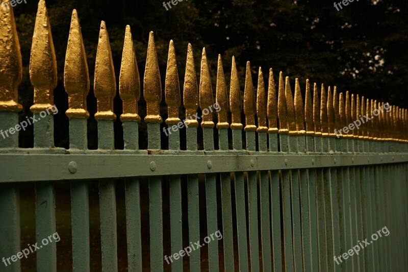 Fence Great Gold Close Up Limit