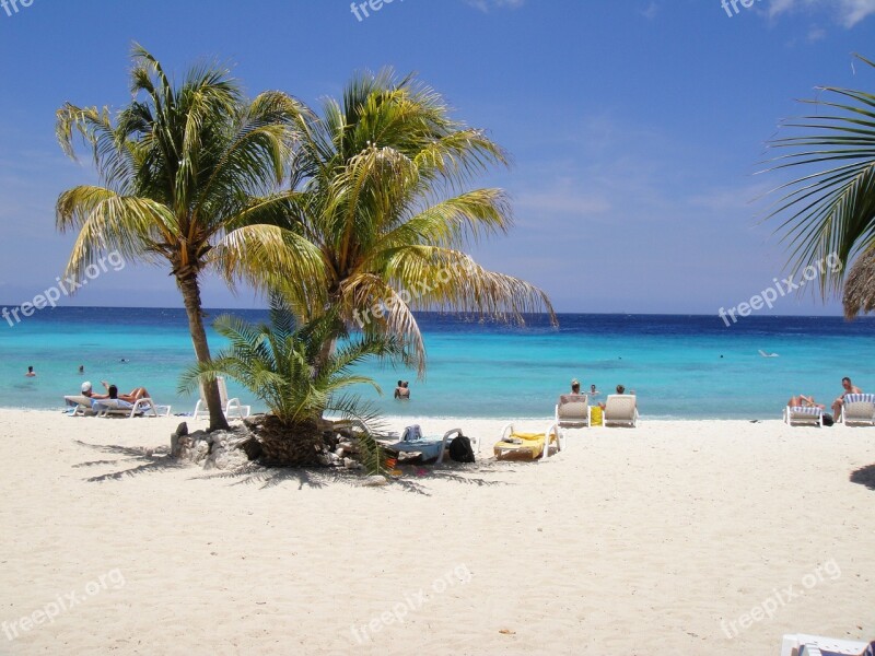 Beautiful Beach Palm Trees Curacao Antilles Caribbean