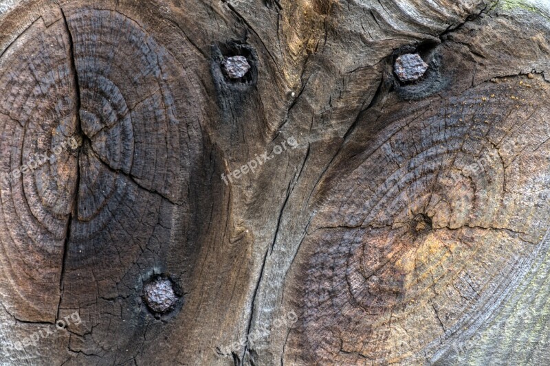 Background Wood Old Wood Grain Close Up