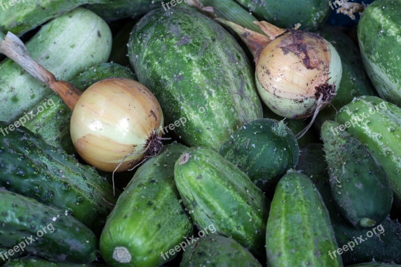 Vegetables Cucumbers Onion Close Up Garden Cucumber