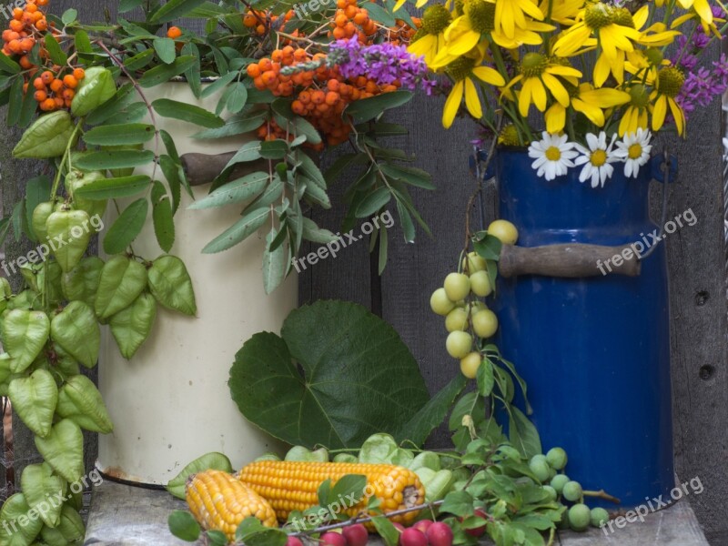 Flowers Jugs Corn On The Cob Milk Can Mountain Ash