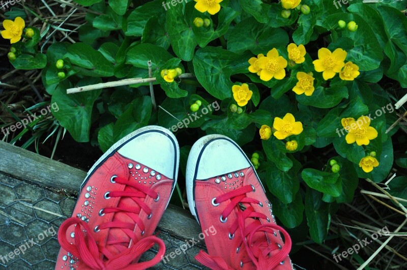 Flowers Yellow Shoes Pink Sneakers