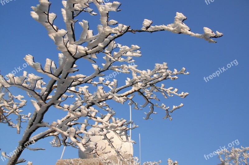 Views Huangshan Snow Winter Wood