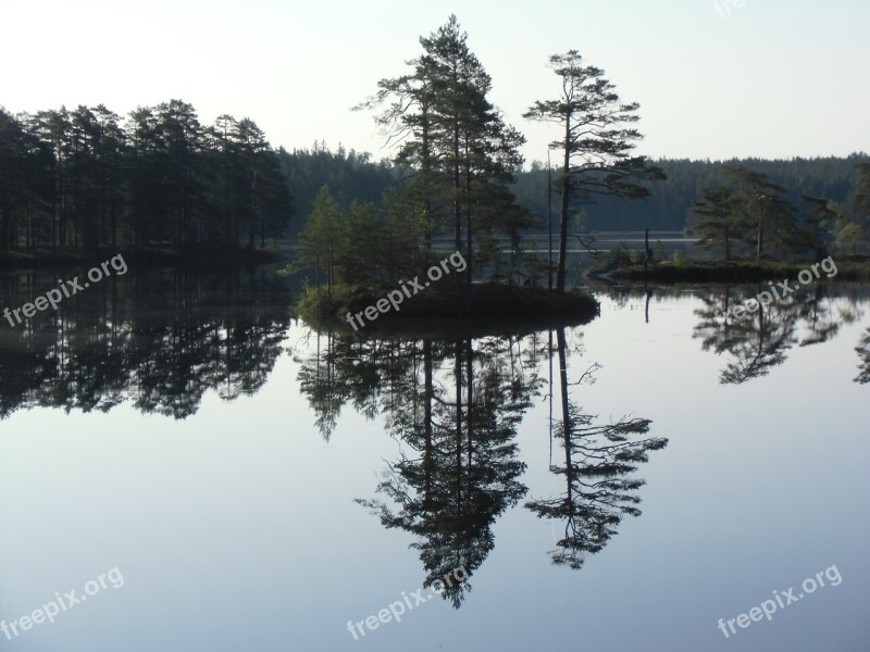 Lake Island Tree Water Mirror Image