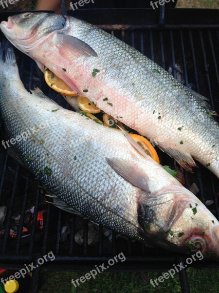 Fish Grill Seabass Benefit From Food