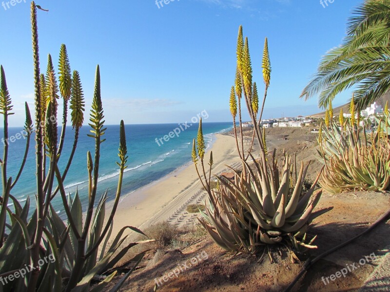 Sea Beach Sand Vacations Fuerteventura