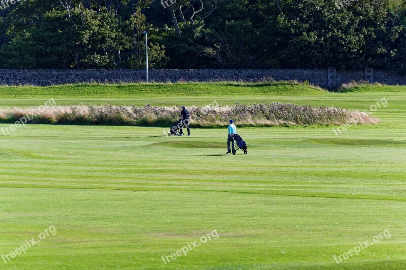 Golf Golf Course Golfer Green Course