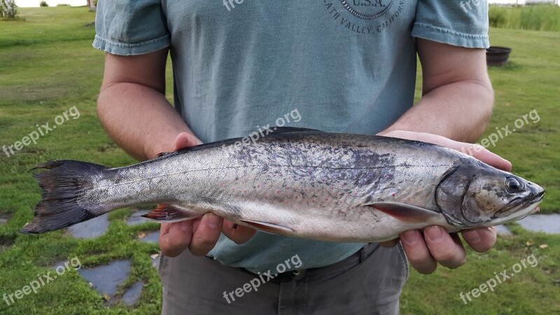 Maine Moosehead Lake Brook Trout New England Fishing