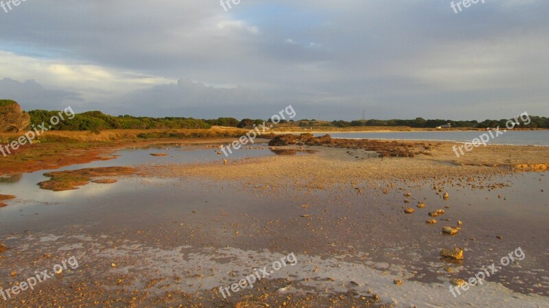 Rotnest Island Island Australia Rottnest Weathered