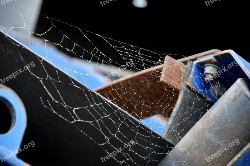 Cobweb Spider Hotel The Sand Pebbles Sand