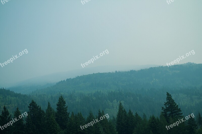 View Hills Forest Trees Distant