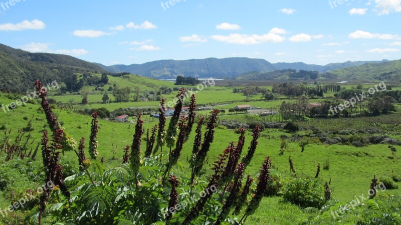 New Zealand North Island Valley Hills Pastoral