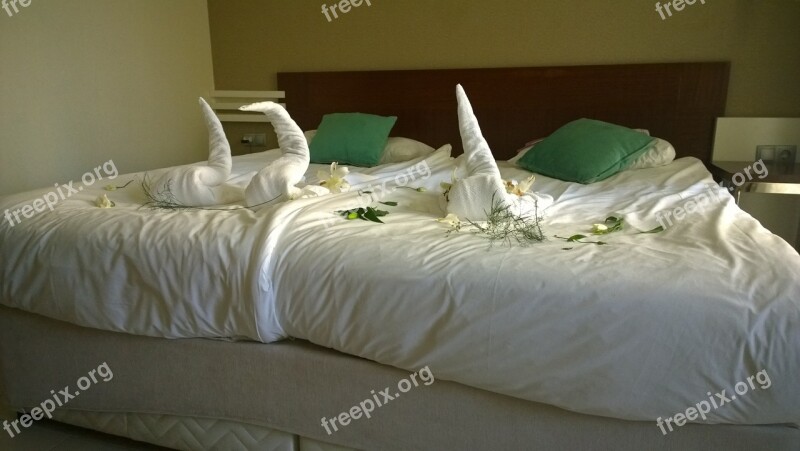 Double Bed Bed Decorated Vacations Hotel