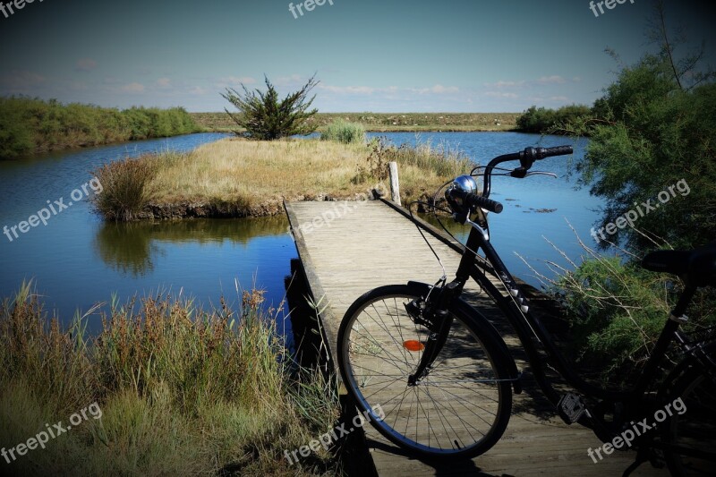 Marsh Nature Mare Water Landscape