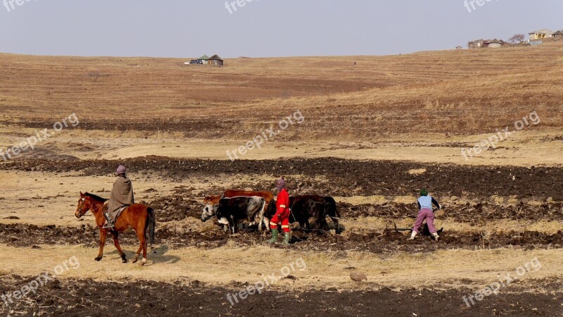 Lesotho Mountain Country Agriculture Plow Tillage