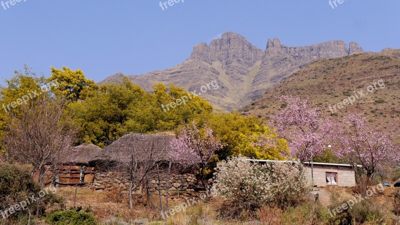 Lesotho Mountain Landscape Peach Blossom Landscape Nature