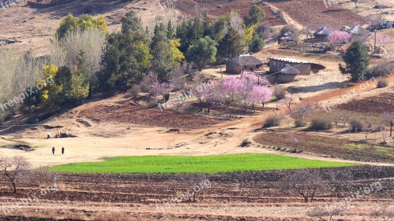 Lesotho Settlement Landscape Spring Free Photos